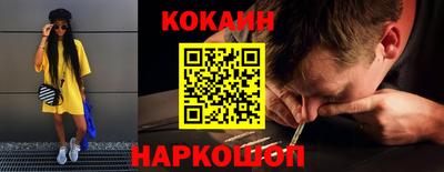 крисы Новокубанск