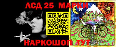 крисы Новокубанск