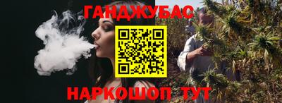 крисы Новокубанск