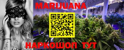 спиды Новозыбков