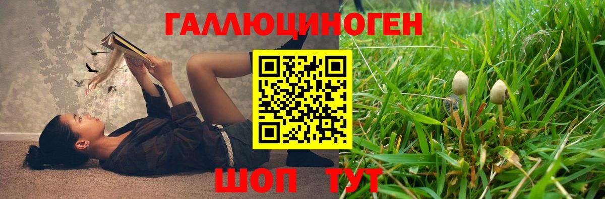 купить наркотик  Вход с VPN  Семёнов  Галлюциногенные грибы мицелий 